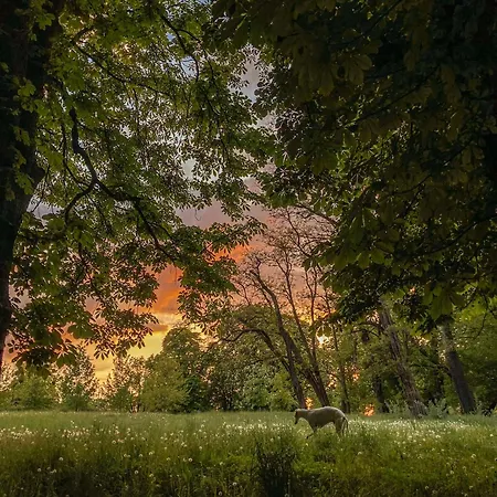 Na Wodzie - On The River Будинок відпочинку