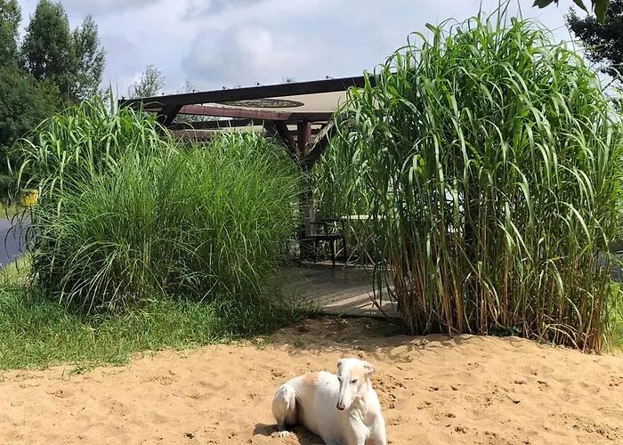 Na Wodzie - On The River